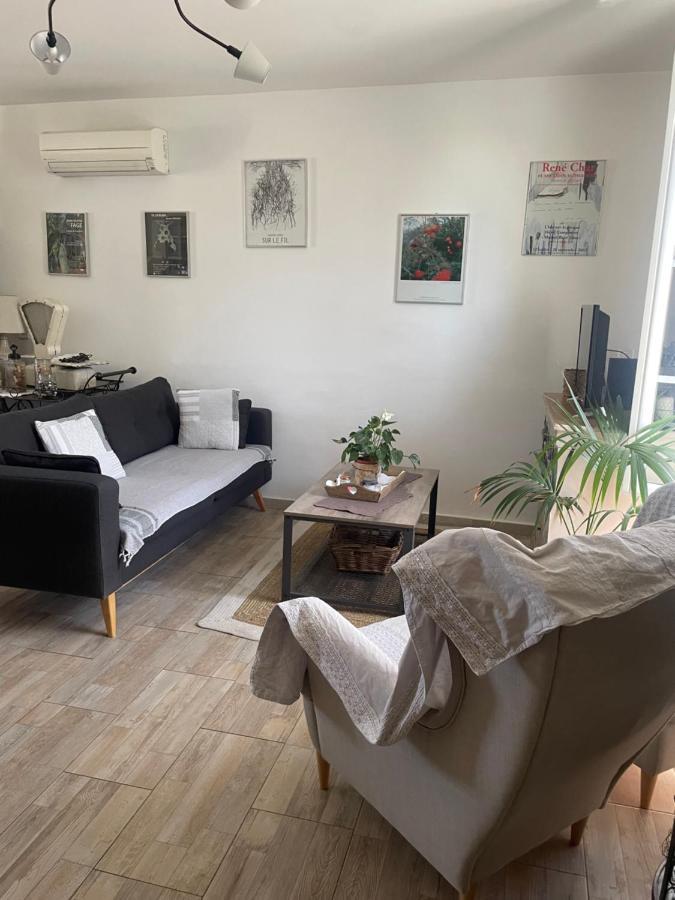 Appartement Avec Jardin En Ville L'Isle-sur-la-Sorgue Exterior photo